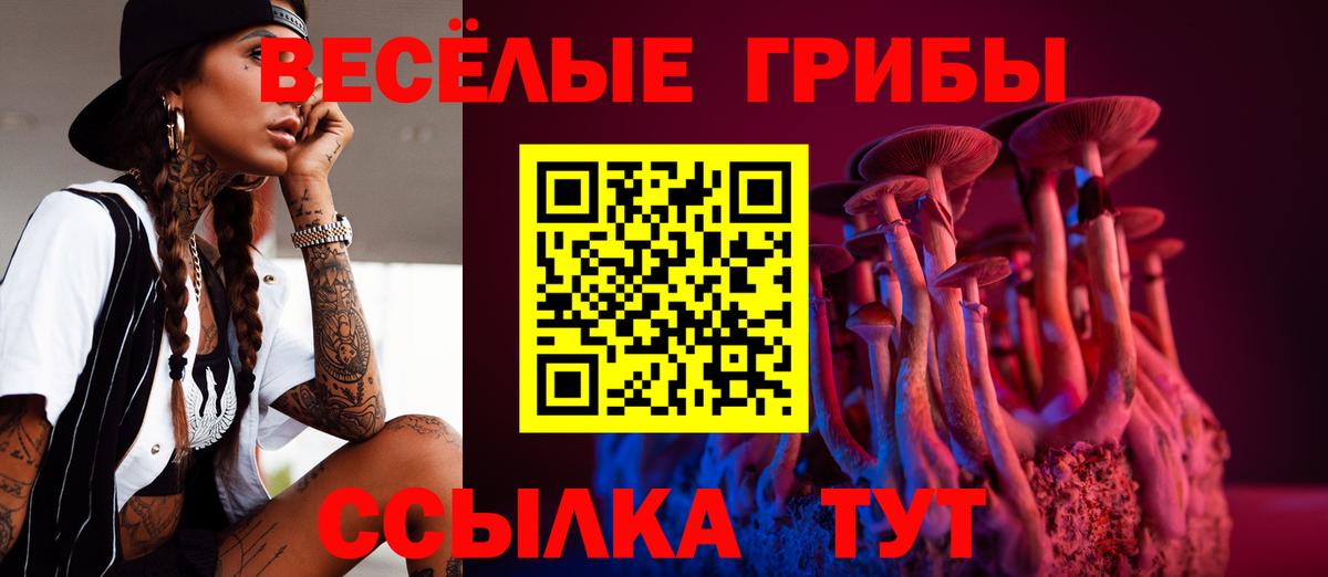 Псилоцибиновые грибы Psilocybe  Псилоцибиновые грибы ЛСД  Старый Оскол  Вход с VPN 